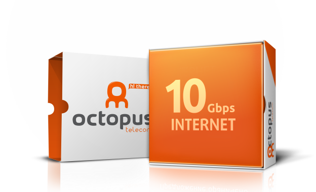 Octopus 10Gbps dedicated internet service